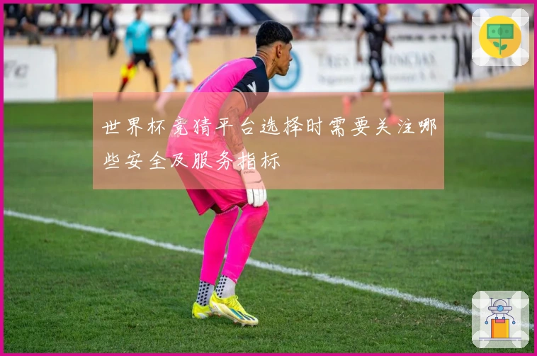 世界杯竞猜平台选择时需要关注哪些安全及服务指标