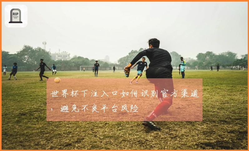 世界杯下注入口如何识别官方渠道，避免不良平台风险